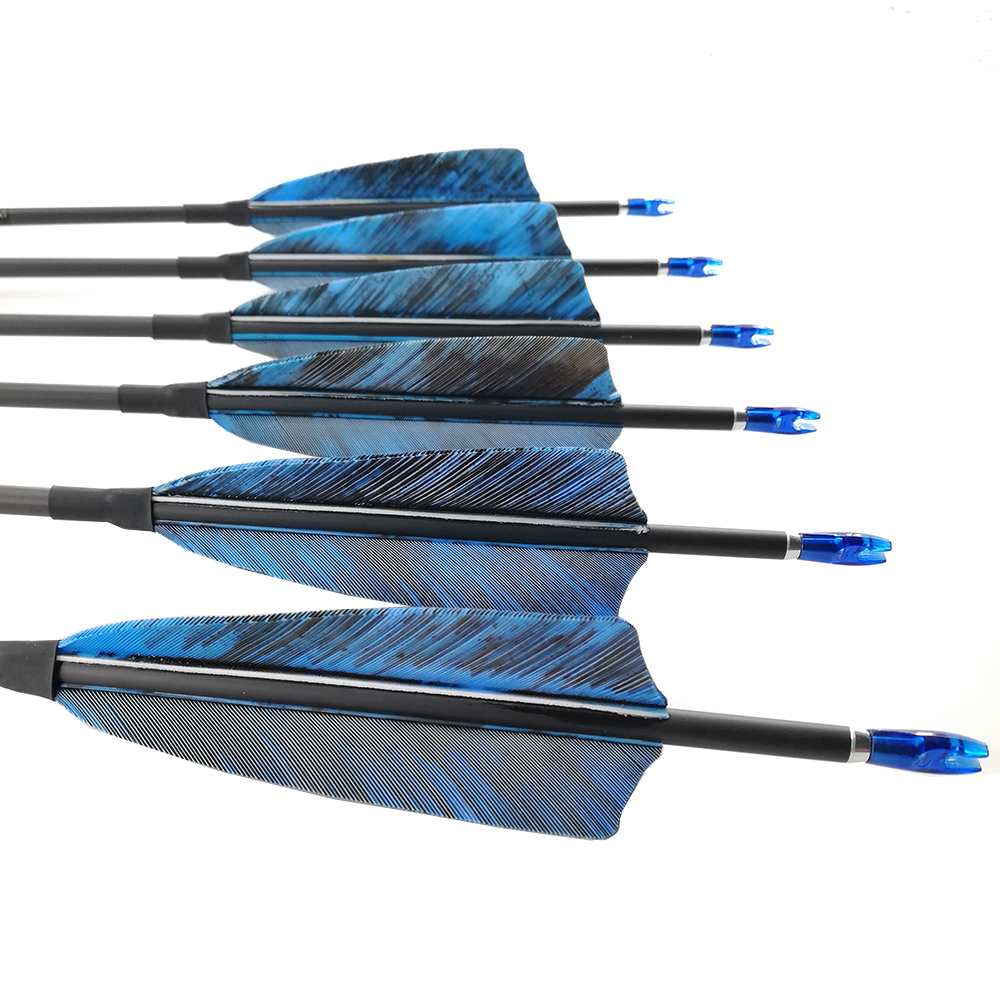 Arco e flecha Espinha 400 500  - Carbon Arrows 30 Inch Spine 400 500 avaliação e preço