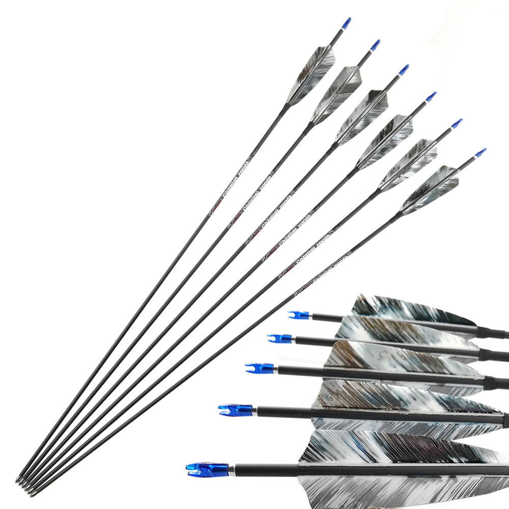Pinals Arco e Flecha Flecha de - Carbon Arrows 30 Inch Spine 400 500 avaliação e preço