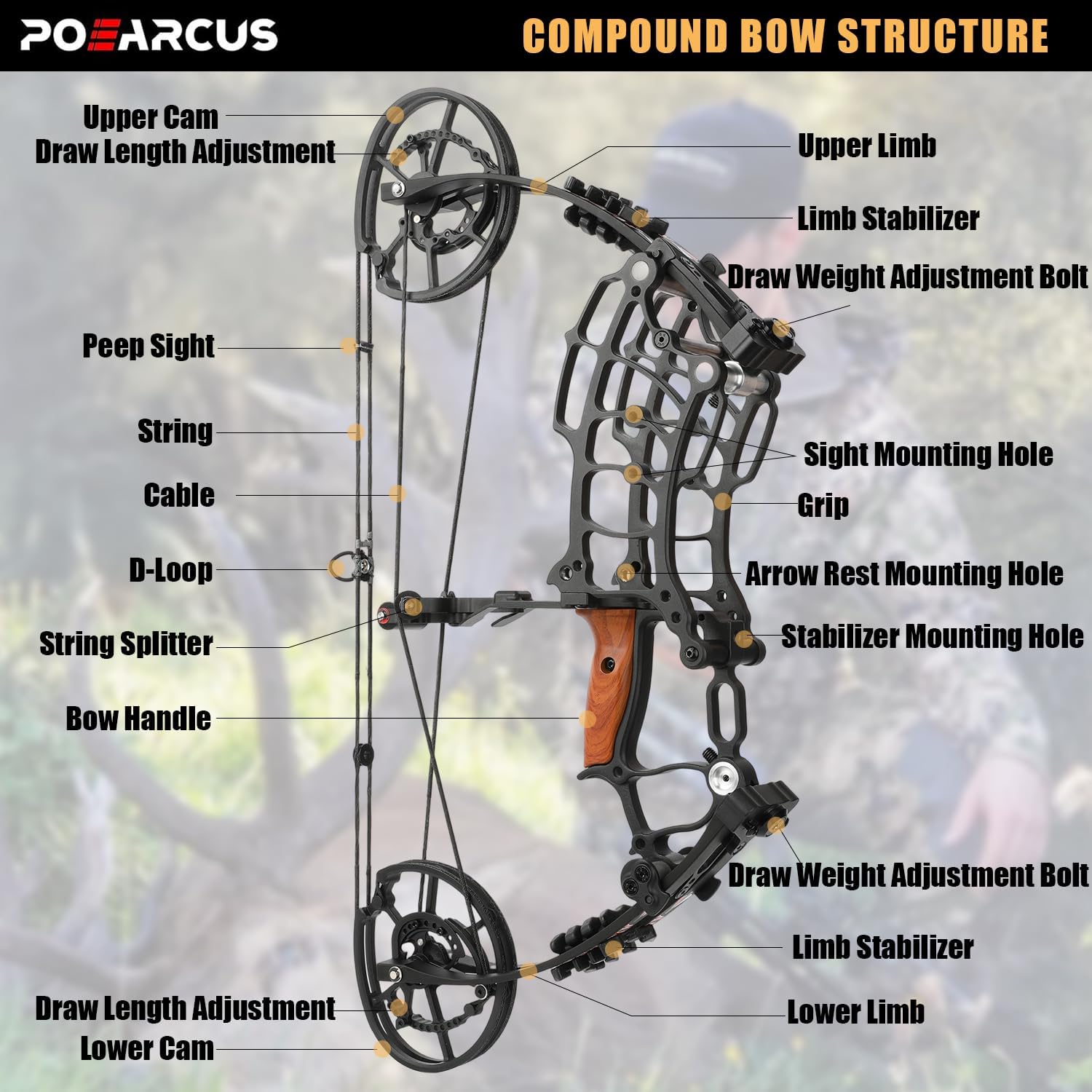 Conjunto de arco composto de d - Compound Bow Hunting 30-70 Lbs avaliação e preço