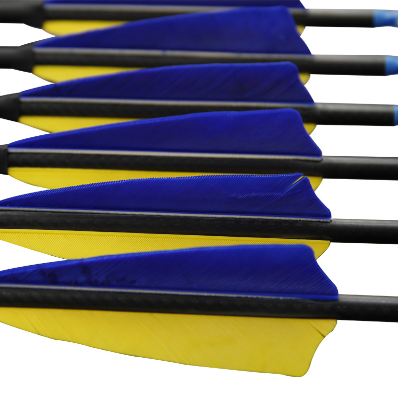 Arco e Flecha: 12 Flechas de C - Carbon Arrows 30 Inch Spine 400 500 avaliação e preço